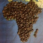 A map of Africa with coffee beans on the continent of Africa