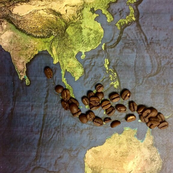 a map of Indonesia with coffee beans on the country of Indonesia