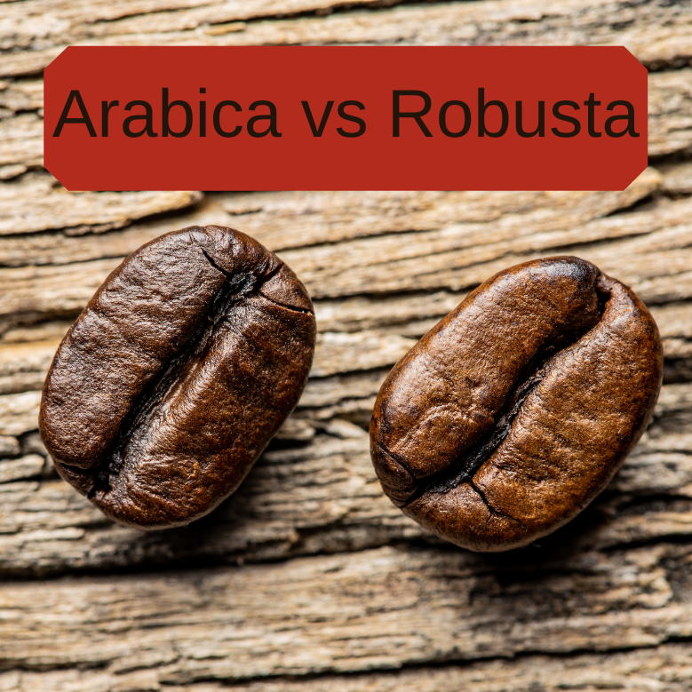 Diferenças entre Robusta e Arábica